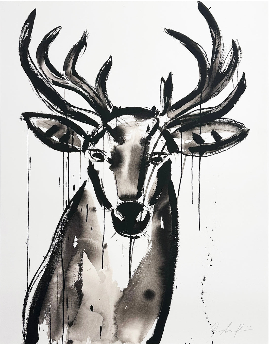 JENNA SNYDER-PHILLIPS 'Buck' (2017) Giclée Print - Signari Gallery 