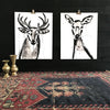 JENNA SNYDER-PHILLIPS 'Buck' (2017) Giclée Print - Signari Gallery 