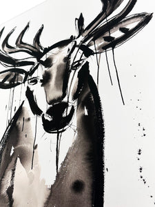 JENNA SNYDER-PHILLIPS 'Buck' (2017) Giclée Print - Signari Gallery 