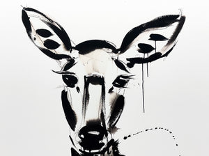 JENNA SNYDER-PHILLIPS 'Doe' (2017) Giclée Print - Signari Gallery 