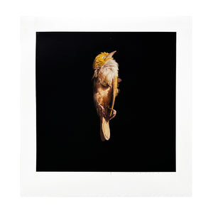 JEREMY GEDDES 'Misere 15' (2023) Archival Pigment Print - Signari Gallery 