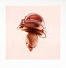 JEREMY GEDDES 'Rotator' (2021) Rare Archival Pigment Print - Signari Gallery 