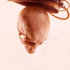 JEREMY GEDDES 'Rotator' (2021) Rare Archival Pigment Print - Signari Gallery 