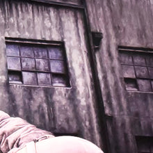 Load image into Gallery viewer, JEREMY GEDDES &#39;Signal&#39; (2025) Archival Pigment Print