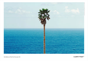 JOHN BALDESSARI 'Palm Tree/Seascape' (2010) Rare Poster + Original Signature