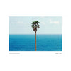 JOHN BALDESSARI 'Palm Tree/Seascape' (2010) Rare Poster + Original Signature