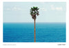 JOHN BALDESSARI 'Palm Tree/Seascape' (2010) Rare Custom Framed Poster + Original Signature - Signari Gallery 