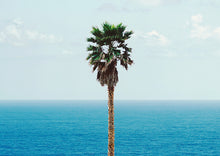 Load image into Gallery viewer, JOHN BALDESSARI &#39;Palm Tree/Seascape&#39; (2010) Rare Custom Framed Poster + Original Signature - Signari Gallery 