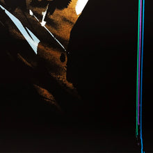 Load image into Gallery viewer, JOHN DOE &#39;Reflex&#39; (2016) Screen Print (Bronze)