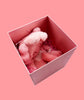 KAWS 'Accomplice' (pink) Collectible Plush Figure - Signari Gallery 