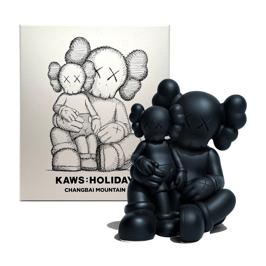 KAWS 'Changbai Mountain' (2022) Rare Designer Art Figure (black) - Signari Gallery 