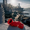 KAWS x Sesame Street 'Elmo' (2025) Limited Edition Vinyl Art Figure - Signari Gallery 