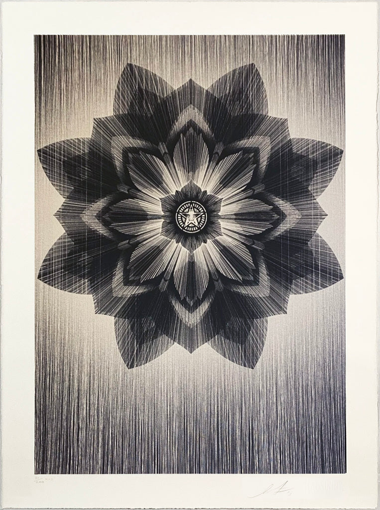 KAI + SUNNY x SHEPARD FAIREY 'Obey x Kai + Sunny' (2013) Rare Screen Print - Signari Gallery 