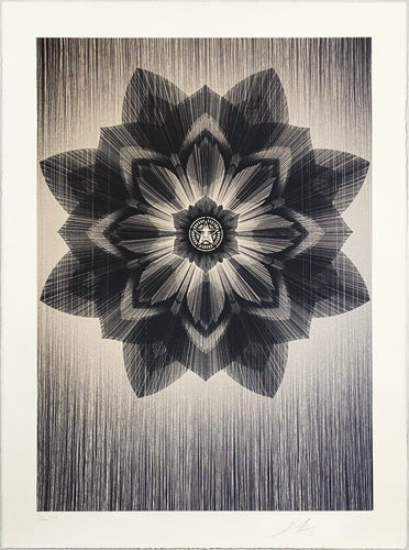 KAI + SUNNY x SHEPARD FAIREY 'Obey x Kai + Sunny' (2013) Rare Screen Print - Signari Gallery 