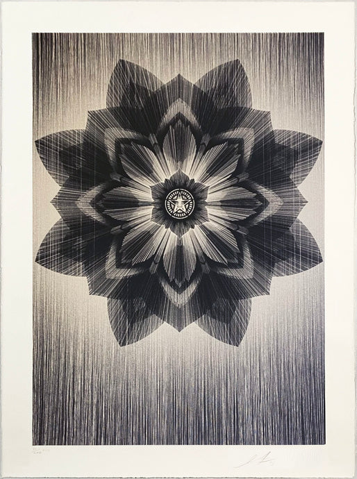 鈴木理策　桜　Yoshii Gallery　大判　サイン入り 古書古本 Totodo: Suzuki Risaku: SAKURA（鈴木理策. Yoshii