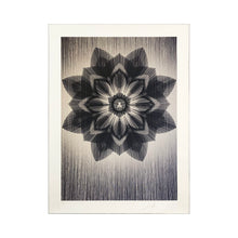 Load image into Gallery viewer, KAI + SUNNY x SHEPARD FAIREY &#39;Obey x Kai + Sunny&#39; (2013) Rare Screen Print - Signari Gallery 