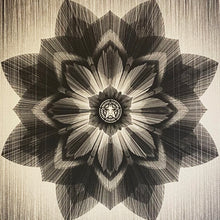 Load image into Gallery viewer, KAI + SUNNY x SHEPARD FAIREY &#39;Obey x Kai + Sunny&#39; (2013) Rare Screen Print - Signari Gallery 