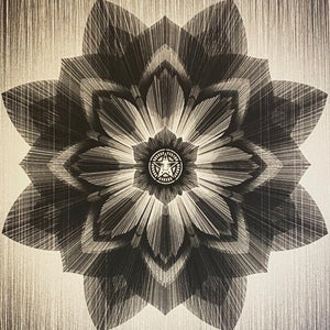 KAI + SUNNY x SHEPARD FAIREY 'Obey x Kai + Sunny' (2013) Rare Screen Print - Signari Gallery 