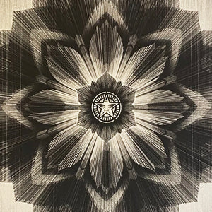 KAI + SUNNY x SHEPARD FAIREY 'Obey x Kai + Sunny' (2013) Rare Screen Print - Signari Gallery 