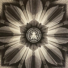 Load image into Gallery viewer, KAI + SUNNY x SHEPARD FAIREY &#39;Obey x Kai + Sunny&#39; (2013) Rare Screen Print - Signari Gallery 