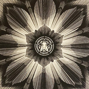 KAI + SUNNY x SHEPARD FAIREY 'Obey x Kai + Sunny' (2013) Rare Screen Print - Signari Gallery 