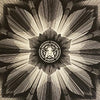 KAI + SUNNY x SHEPARD FAIREY 'Obey x Kai + Sunny' (2013) Rare Screen Print - Signari Gallery 
