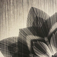Load image into Gallery viewer, KAI + SUNNY x SHEPARD FAIREY &#39;Obey x Kai + Sunny&#39; (2013) Rare Screen Print - Signari Gallery 