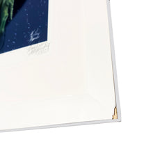 Load image into Gallery viewer, KARI-LISE ALEXANDER 'Cathedral' (2017) Custom Framed Giclée Print