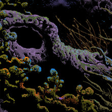 Load image into Gallery viewer, KILIAN ENG &#39;The Underwater Guardian&#39; (2023) Giclée Print