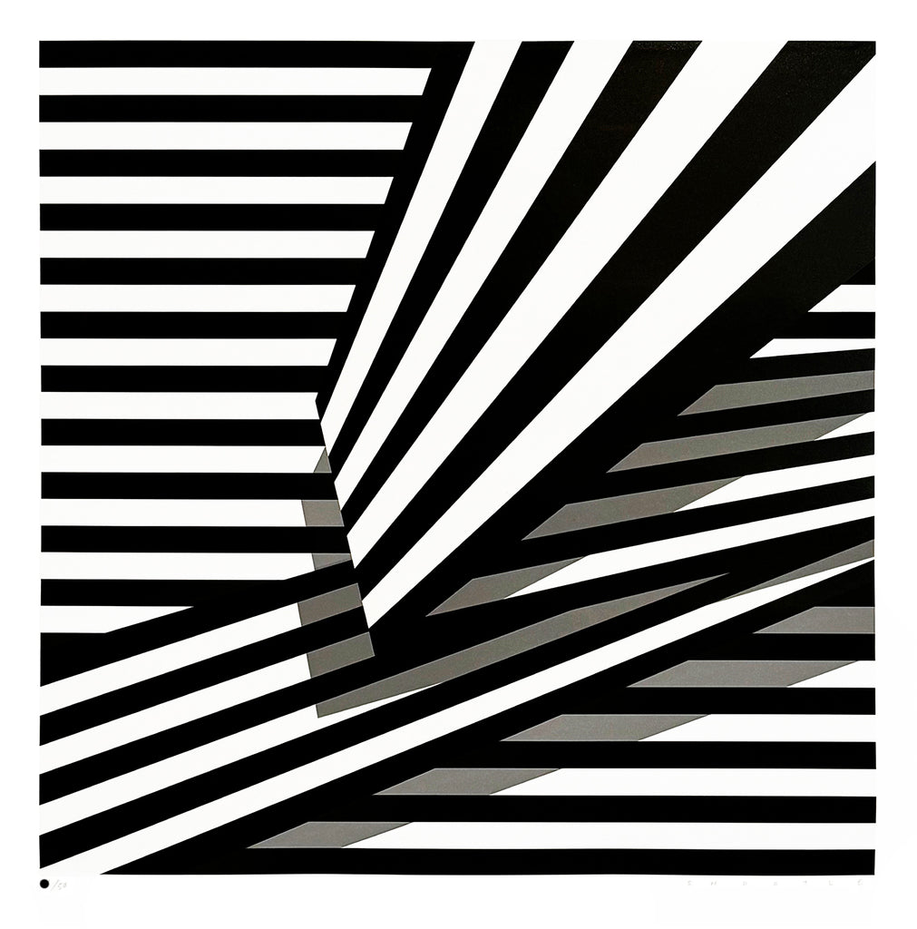 LIAM SNOOTLE 'Just Some Nonsense on My Mind' (2024) Silkscreen Print (2) - Signari Gallery 