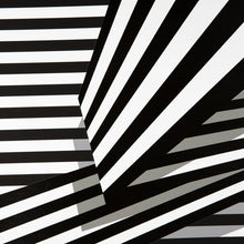 Load image into Gallery viewer, LIAM SNOOTLE 'Just Some Nonsense on My Mind' (2024) Silkscreen Print (2) - Signari Gallery 