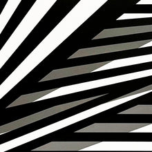 Load image into Gallery viewer, LIAM SNOOTLE 'Just Some Nonsense on My Mind' (2024) Silkscreen Print (2) - Signari Gallery 