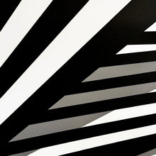 Load image into Gallery viewer, LIAM SNOOTLE 'Just Some Nonsense on My Mind' (2024) Silkscreen Print (2) - Signari Gallery 