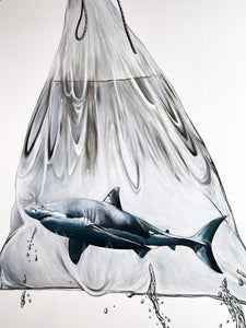 LOUISE McNAUGHT 'Shark in a Bag' (2022) Framed Original on Canvas - Signari Gallery 