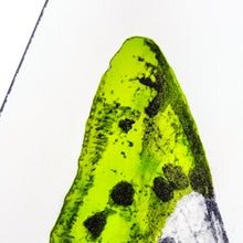 Load image into Gallery viewer, LUDO '344' (2014) RARE Limited Edition Offset Lithograph