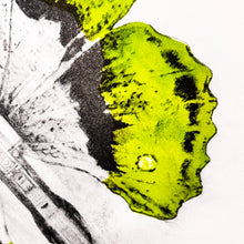 Load image into Gallery viewer, LUDO '344' (2014) RARE Limited Edition Offset Lithograph