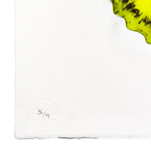 Load image into Gallery viewer, LUDO '344' (2014) RARE Limited Edition Offset Lithograph