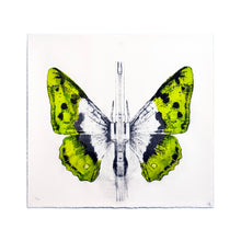 Load image into Gallery viewer, LUDO '344' (2014) RARE Limited Edition Offset Lithograph