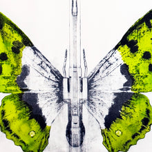 Load image into Gallery viewer, LUDO '344' (2014) RARE Limited Edition Offset Lithograph