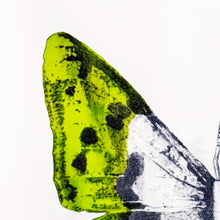 Load image into Gallery viewer, LUDO '344' (2014) RARE Limited Edition Offset Lithograph