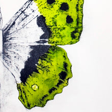 Load image into Gallery viewer, LUDO '344' (2014) RARE Limited Edition Offset Lithograph