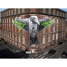 Load image into Gallery viewer, LUDO 'Flower Power' (2026) Rare Hand-Painted, Artist Framed Sculpture - Signari Gallery 