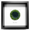 LUDO 'Flower Power' (2026) Rare Hand-Painted, Artist Framed Sculpture - Signari Gallery 