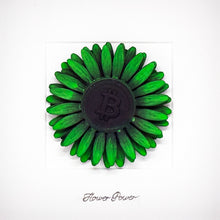 Load image into Gallery viewer, LUDO 'Flower Power' (2026) Rare Hand-Painted, Artist Framed Sculpture - Signari Gallery 