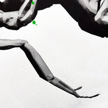 Load image into Gallery viewer, LUDO 'Palynology' (2016) RARE Limited Edition Screen Print