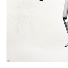 Load image into Gallery viewer, LUDO 'Palynology' (2016) RARE Limited Edition Screen Print