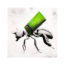 Load image into Gallery viewer, LUDO 'Palynology' (2016) RARE Limited Edition Screen Print