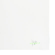 Load image into Gallery viewer, LUDO 'Power to the People' (2020) Hand-Finished Silkscreen Print