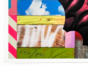 MICHAEL REEDER 'Cloud Diver' (block) Arch. Pigment Print - Signari Gallery 