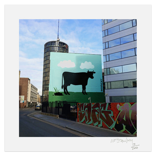 NOT BANKSY x L-13 'Sh*tism in Context: Cowpat' (2024) Archival Pigment Print